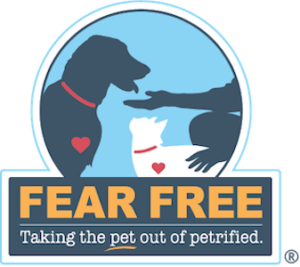 Fear Free