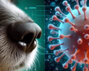 virus respiratorio canino