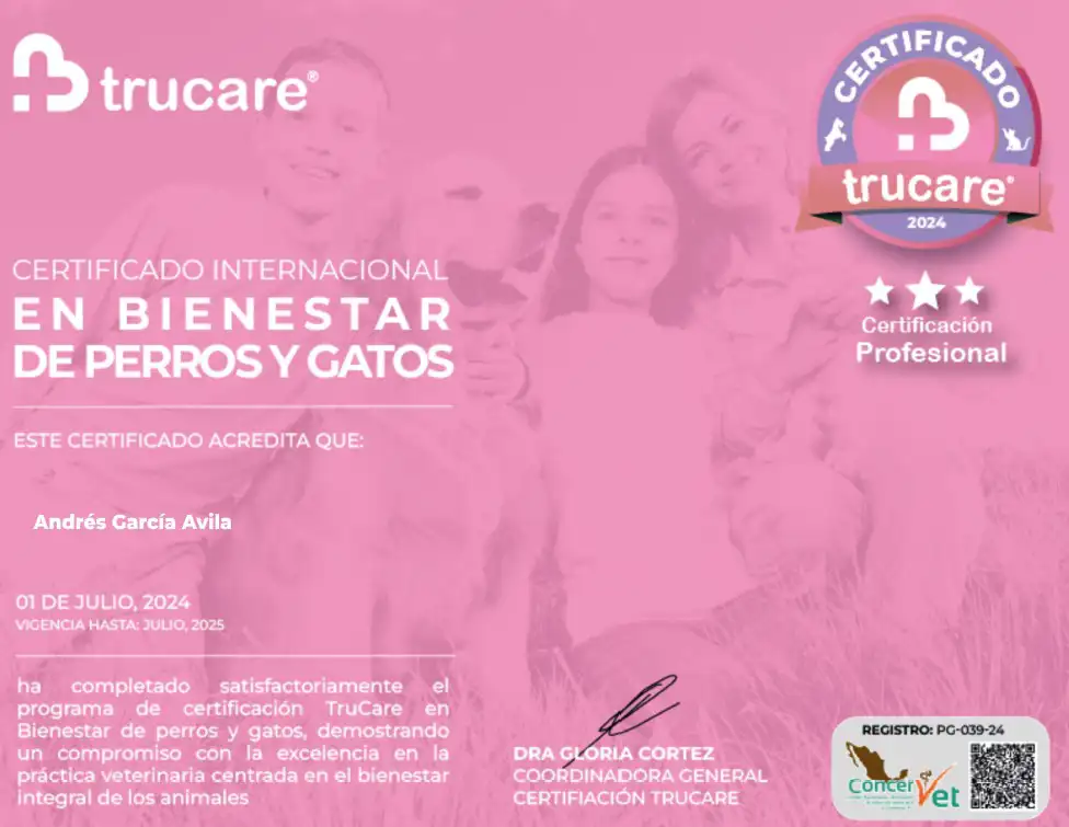 Certificado trucare