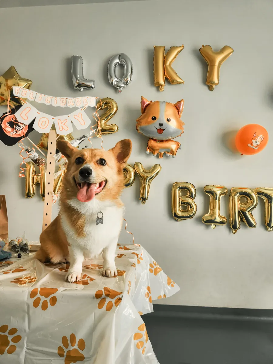 Womi_fiesta_loky fiesta loki womi