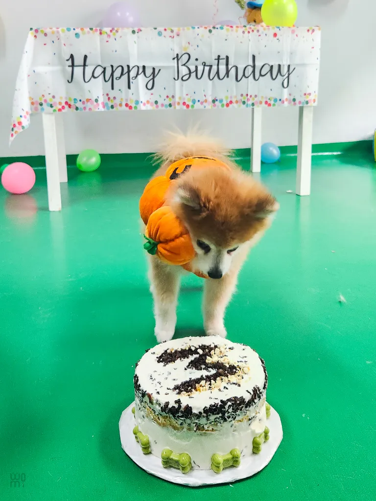 cumple mosby womi cumpleaños womi